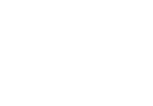 Reverie Esthetic & Hair Center