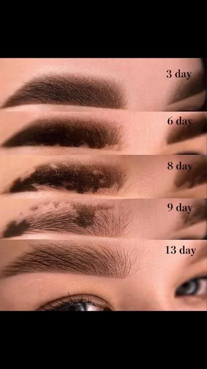 Powder brows by Kate Kanner on day 3, 6, 8, 9 and 13 of healing