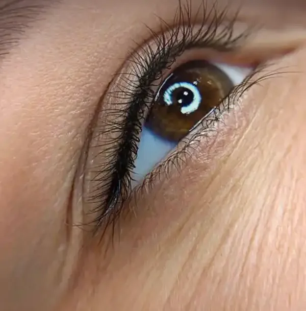 Healed classic lash line by Kate Kanner